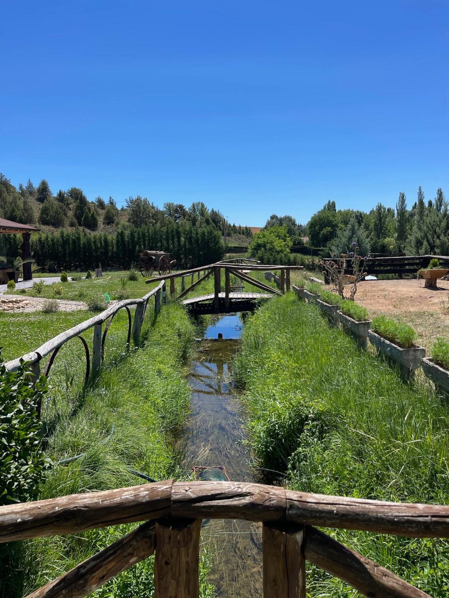 El Burgo De Osma Alojamiento Rural Villa Bagh Dış mekan fotoğraf