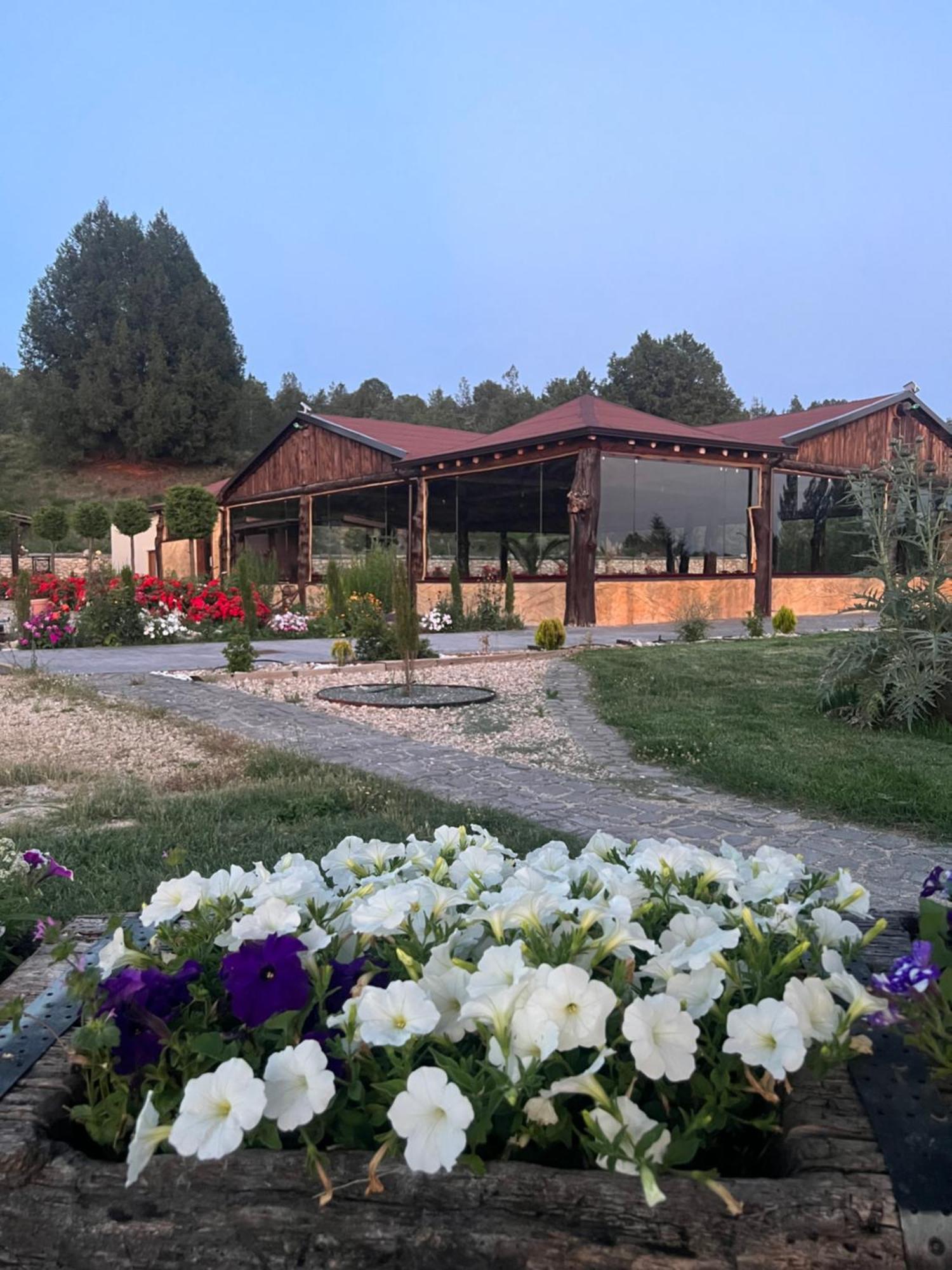 El Burgo De Osma Alojamiento Rural Villa Bagh Dış mekan fotoğraf
